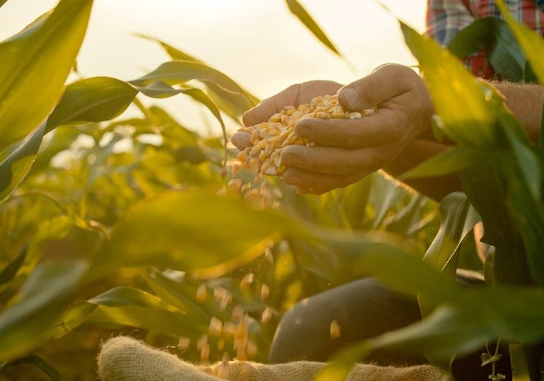 The '1776 Diet': What Americans really ate during the nation's founding