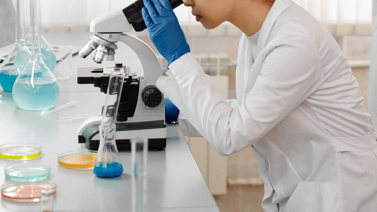 A scientist looking through a microscope.