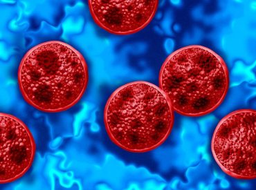 Weight-loss joke turns serious as 'cyclospora skinny' trend fuels health warnings