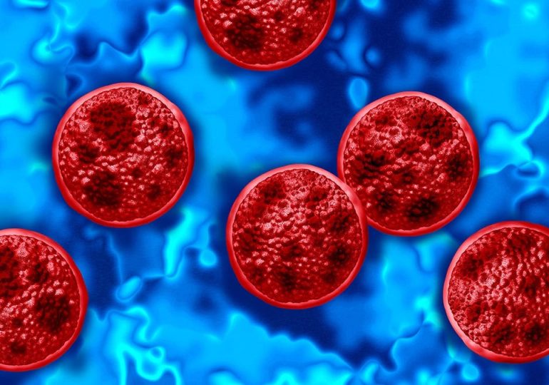 Weight-loss joke turns serious as 'cyclospora skinny' trend fuels health warnings