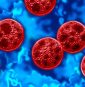 Weight-loss joke turns serious as ‘cyclospora skinny’ trend fuels health warnings