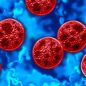 Weight-loss joke turns serious as ‘cyclospora skinny’ trend fuels health warnings