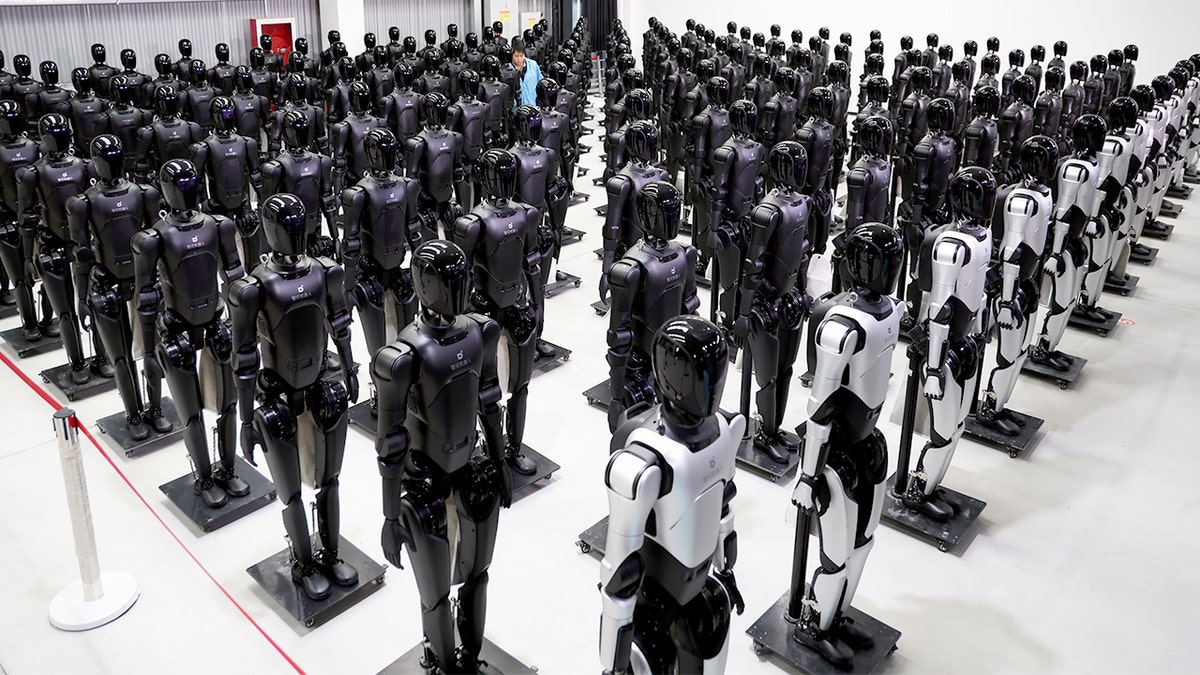 Foreign robot ban targets China over security fears
