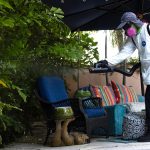 Dengue fever outbreak triggers states of emergency in 3 southern counties