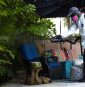 Dengue fever outbreak triggers states of emergency in 3 southern counties