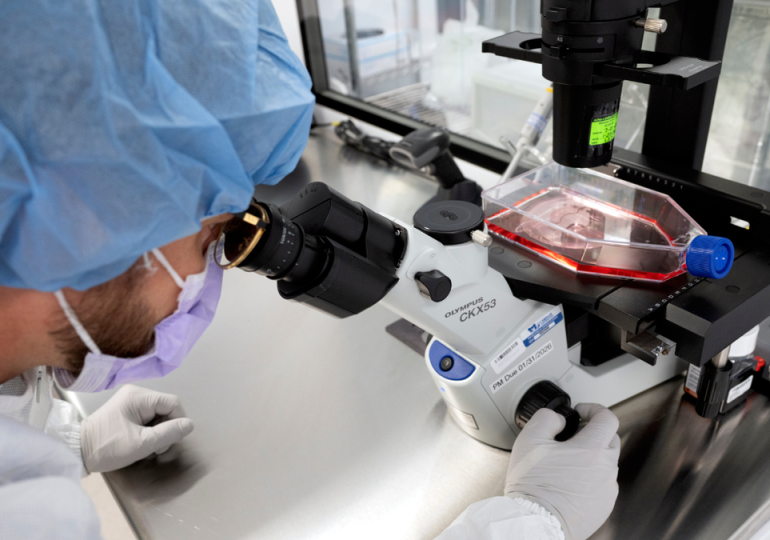 How AI could transform cancer treatment and medicine