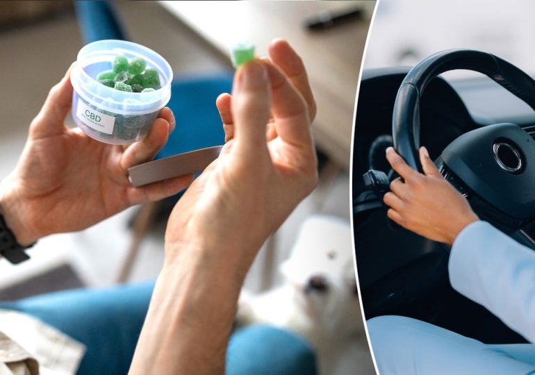 Marijuana users may face hidden driving danger that standard tests can miss