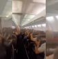 Plane passengers scream in harrowing mid-flight video as violent shaking sends cabin ceiling panels flying