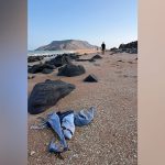 At least 139 migrants dead, 84 missing after overcrowded boat capsizes off Djibouti