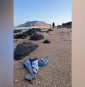 At least 139 migrants dead, 84 missing after overcrowded boat capsizes off Djibouti