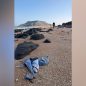 At least 139 migrants dead, 84 missing after overcrowded boat capsizes off Djibouti