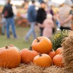E. coli outbreak lands 3 in hospital, health officials investigate link to pumpkin patch