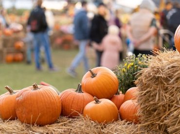 E. coli outbreak lands 3 in hospital, health officials investigate link to pumpkin patch