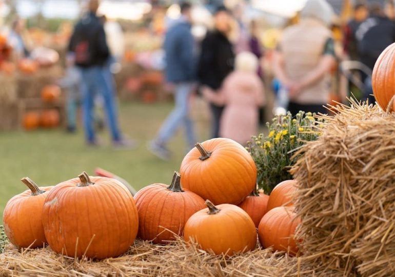 E. coli outbreak lands 3 in hospital, health officials investigate link to pumpkin patch